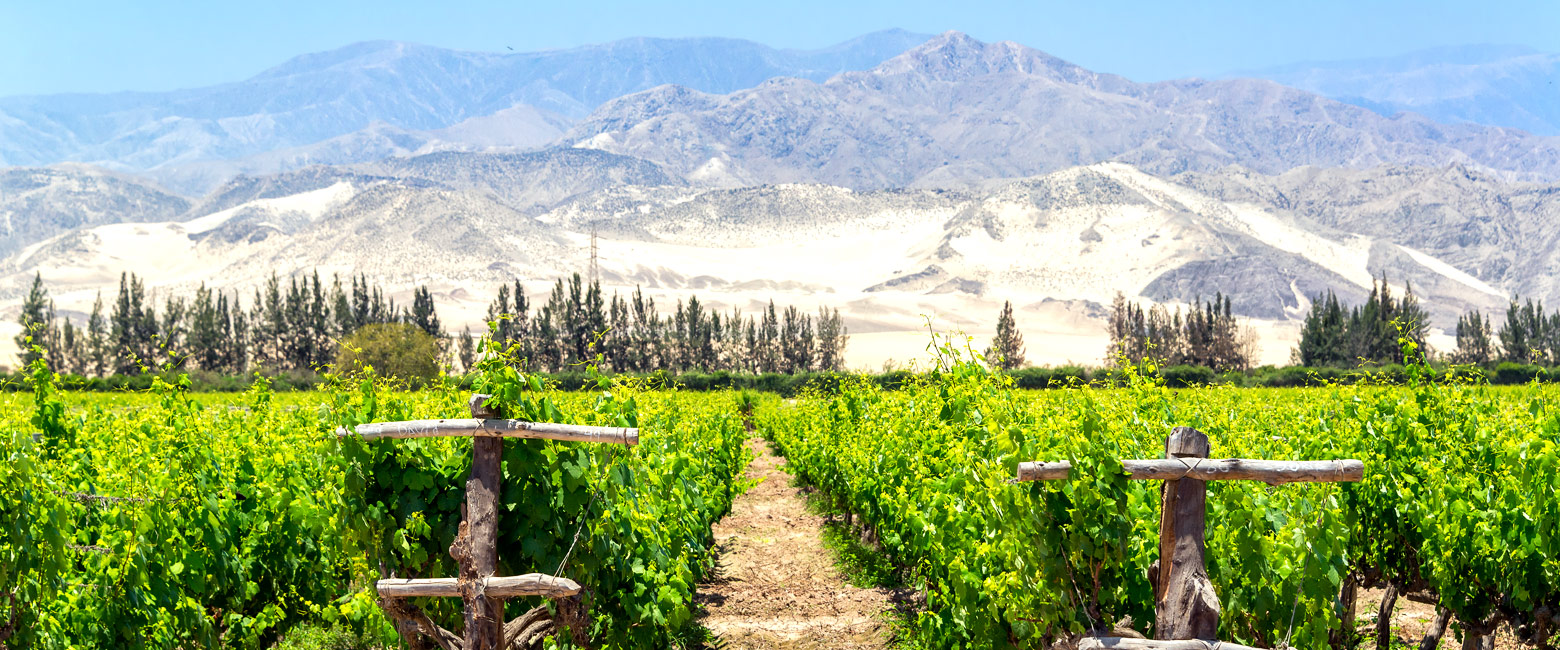 let us know your thoughts about Peru and we will help you create the perfect trip 