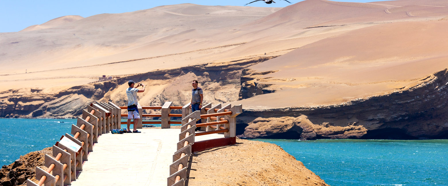 let us know your thoughts about Peru and we will help you create the perfect safari