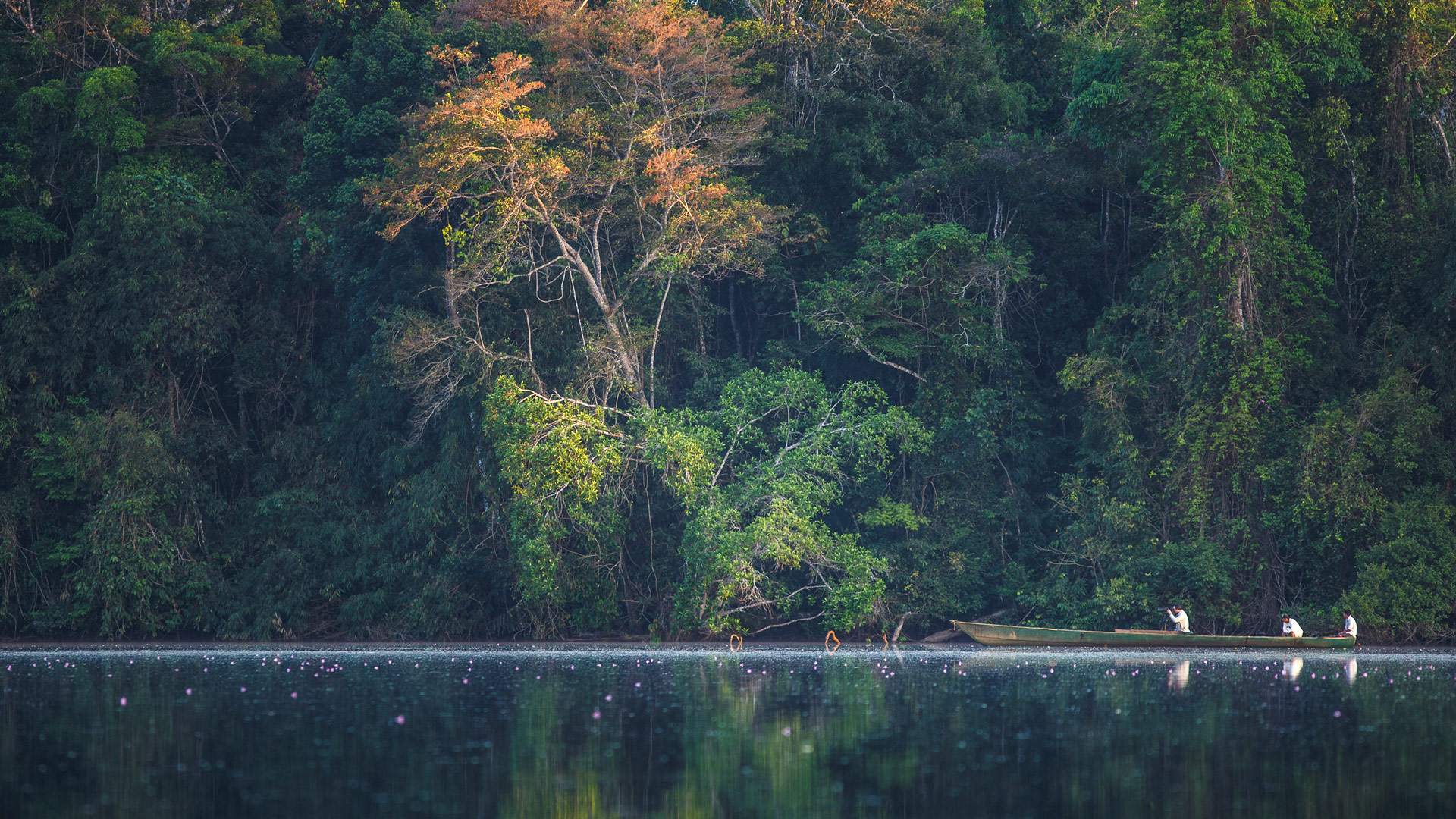 Safari to Tambopata Amazon