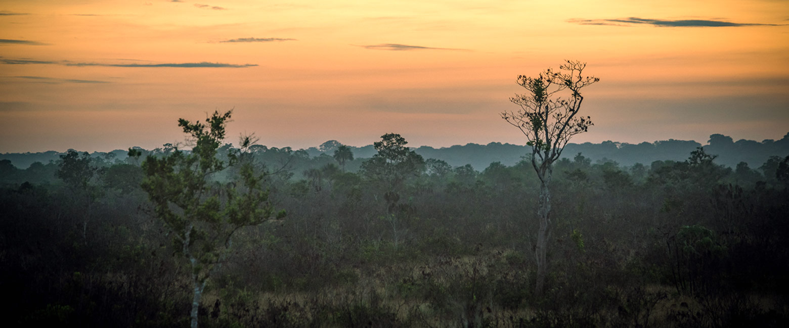 let us know your thoughts about Peru and we will help you create the perfect safari 