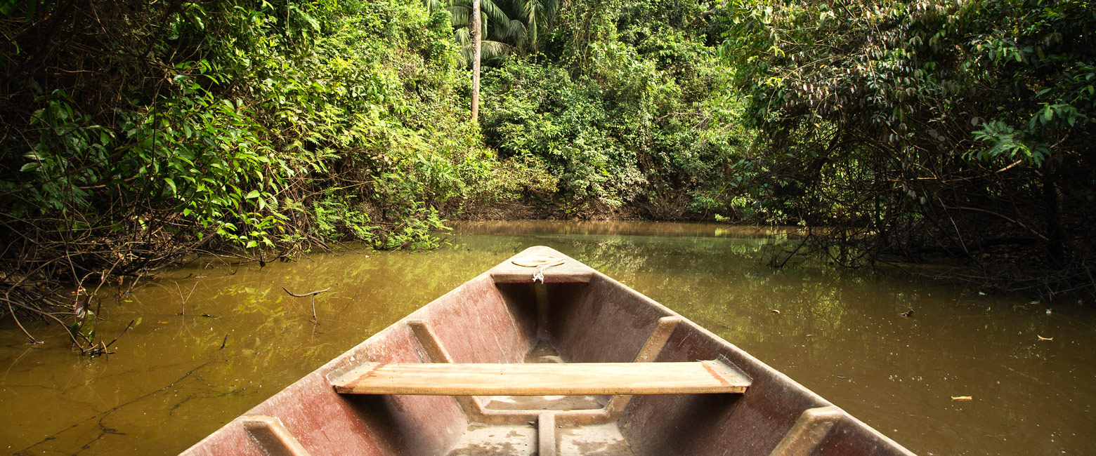 let us know your thoughts about Peru and we will help you create the perfect safari 