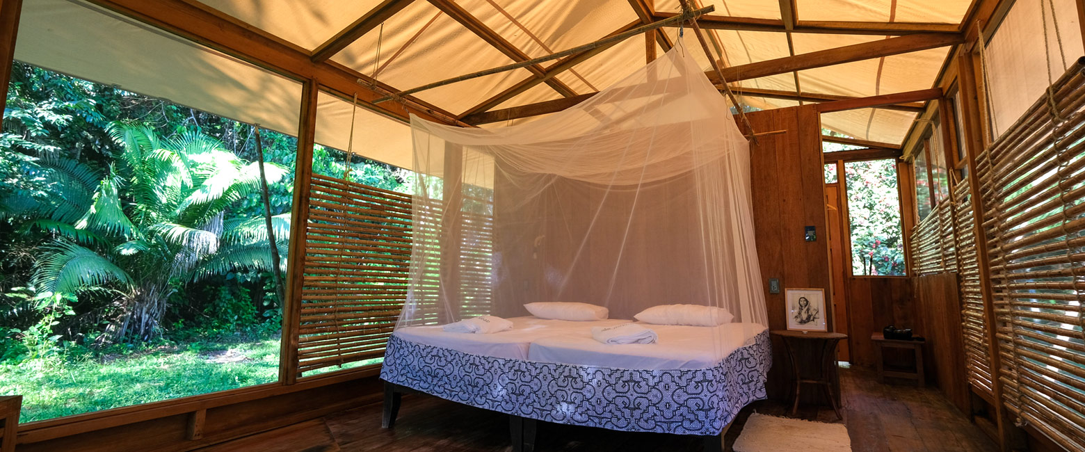 let us know your thoughts about Peru and we will help you create the perfect safari