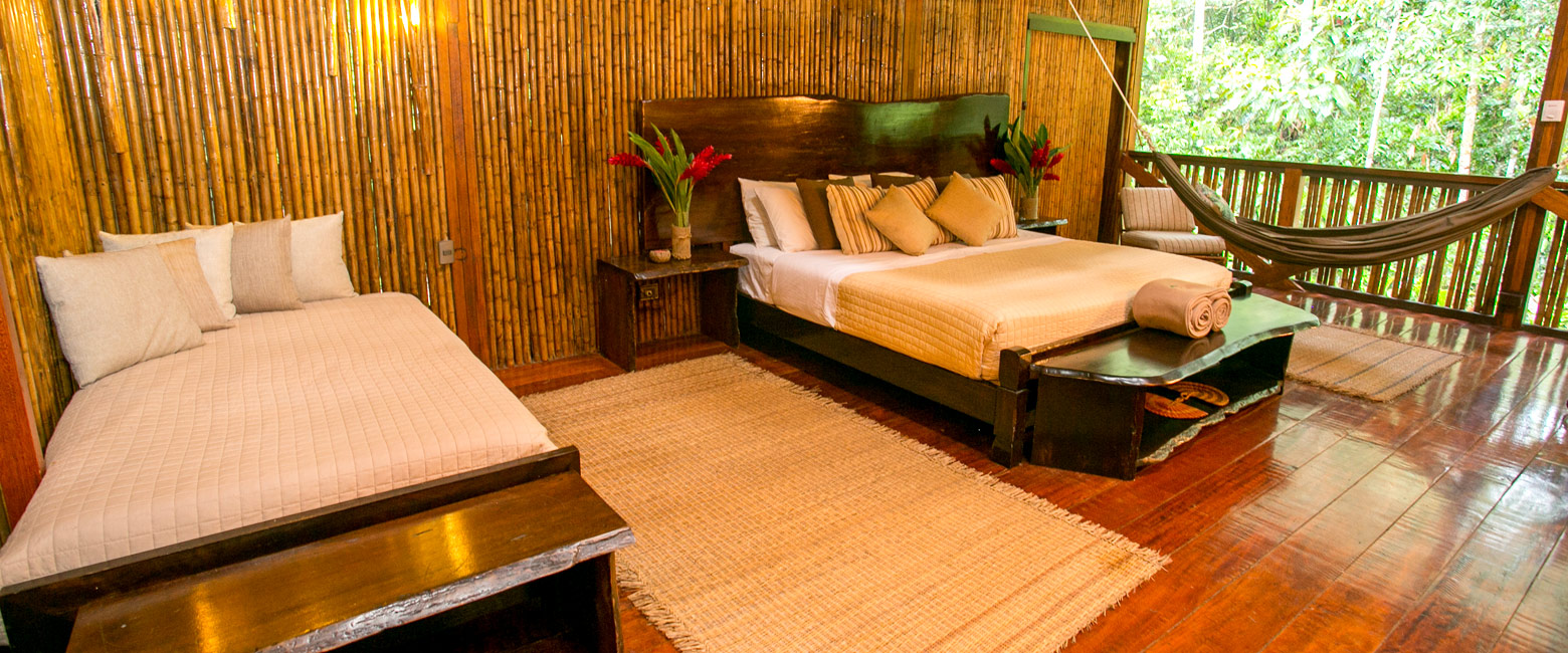 is a mid-range lodge in the Tambopata Amazon area