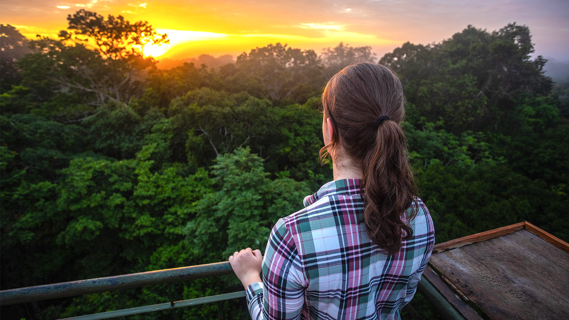 Tambopata Lodge