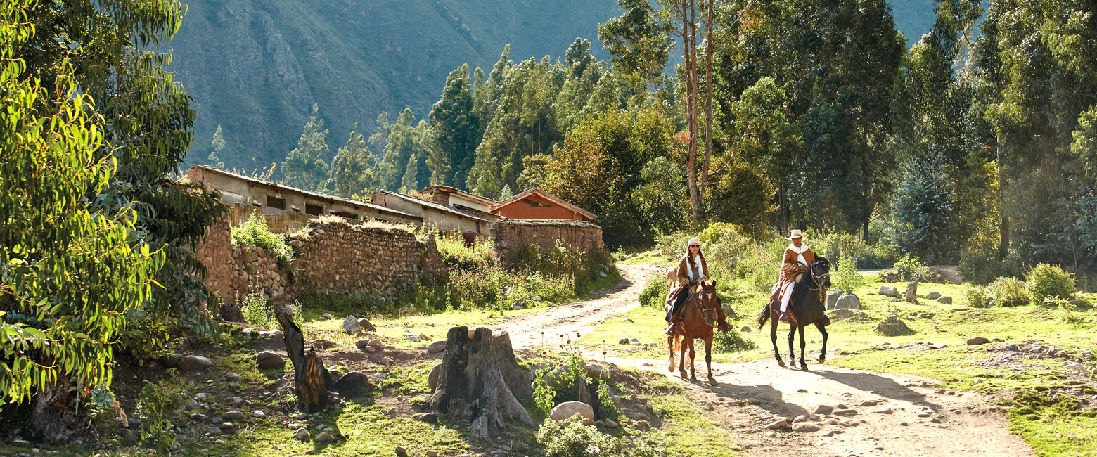 let us know your thoughts about Peru and we will help you create the perfect safari 