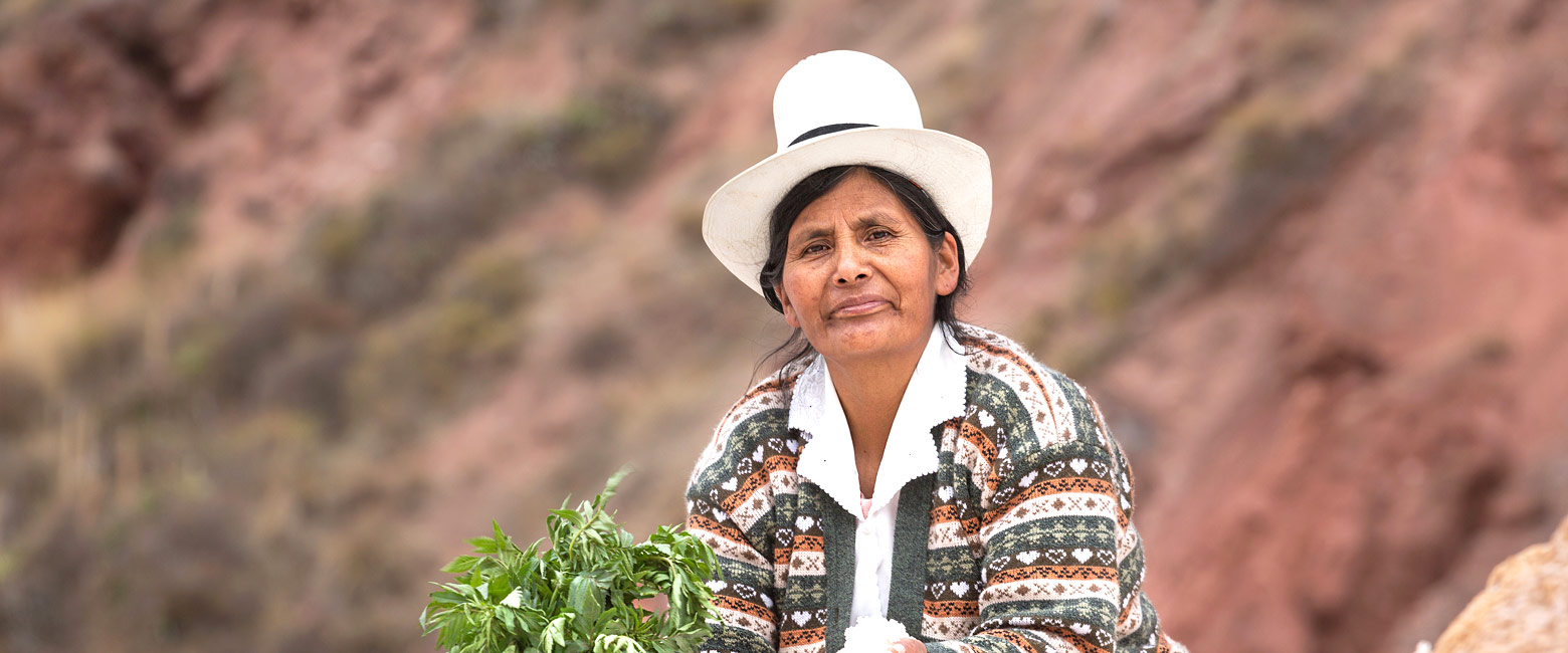 let us know your thoughts about Peru and we will help you creat the perfect safari 