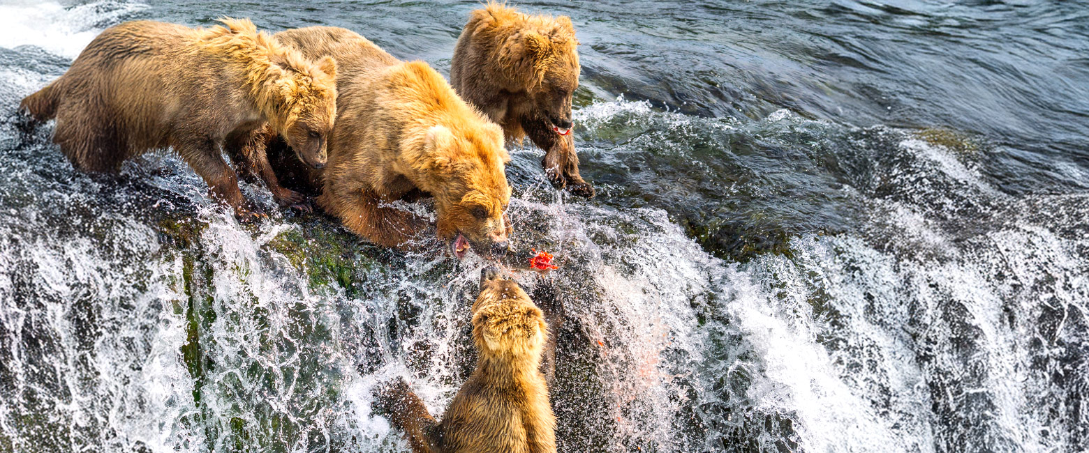 contain an epic diversity of wilderness locations