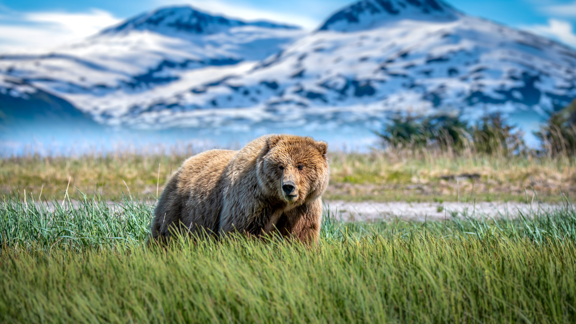 Travel to Alaska