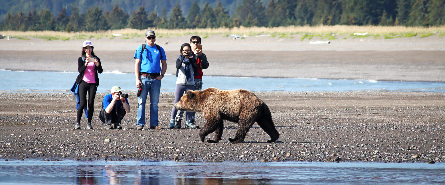 is a wild and scenic area south of Anchorage 