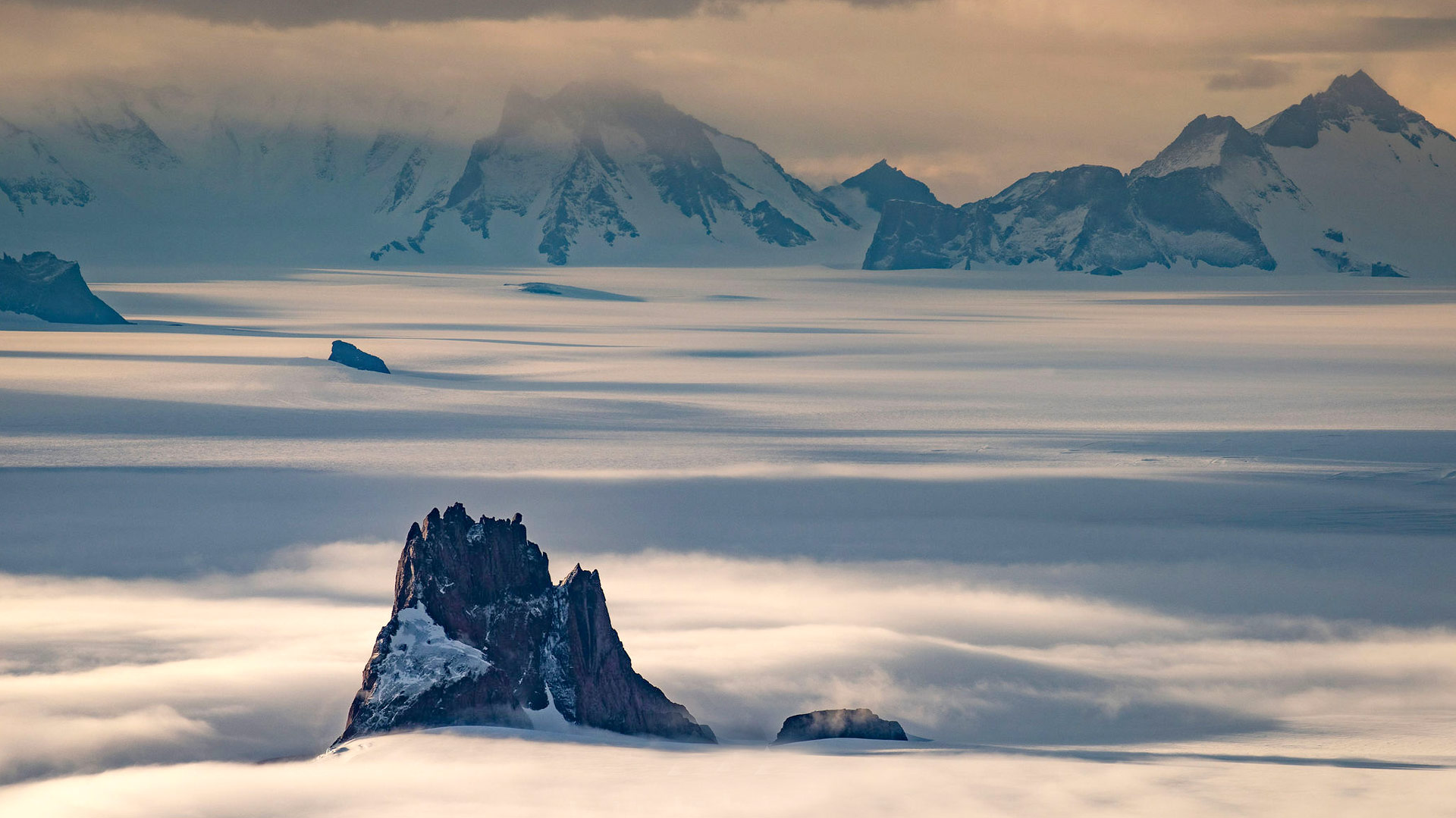 Safari to Antarctica Central