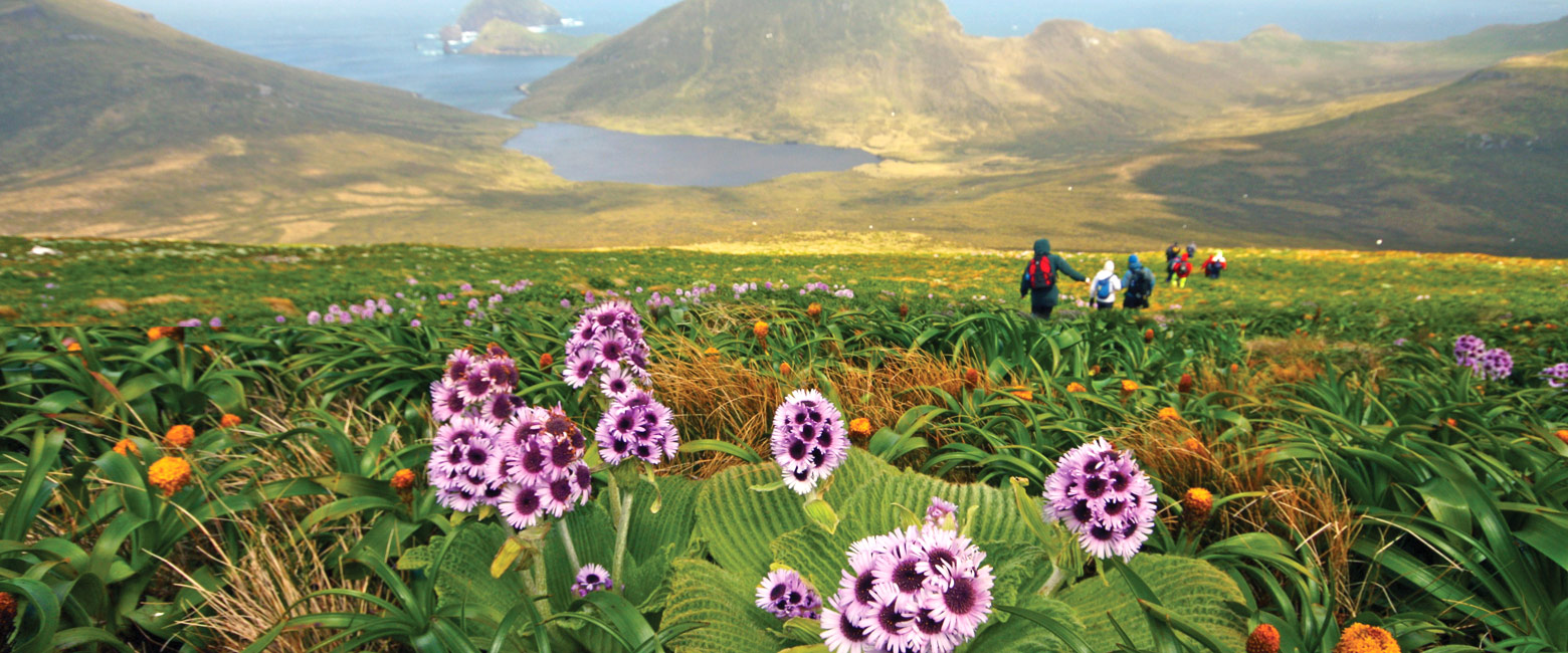 let us know your thoughts about Antarctica and we will help you create the perfect trip