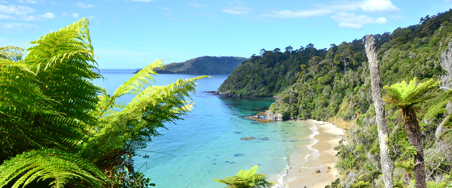 are diverse and remote islands south of New Zealand 