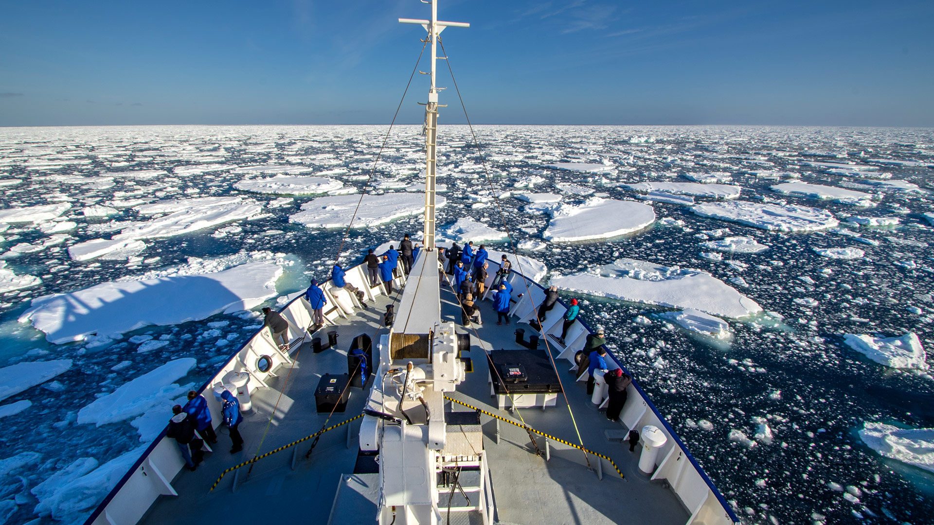 Safari to the Ross Sea