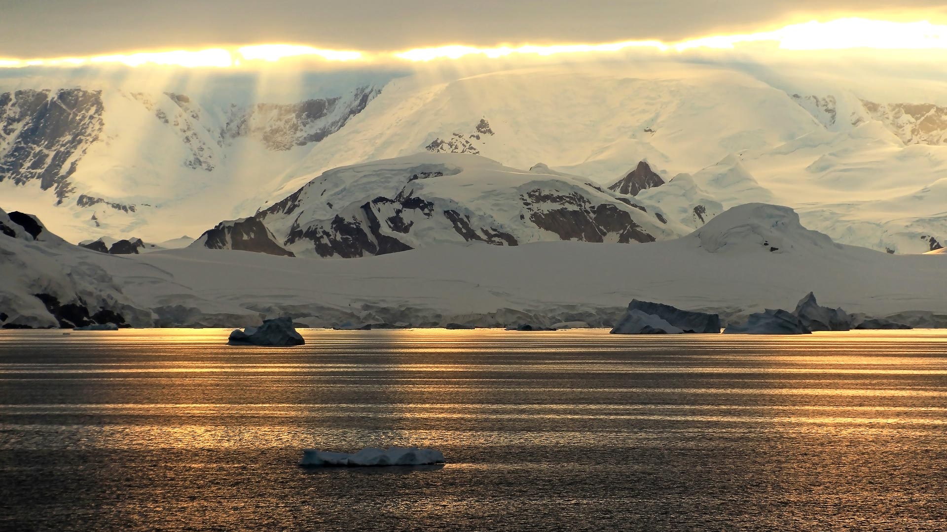 This eleven night trip travels by sea from Argentina, down to the Antarctic Peninsula and back.