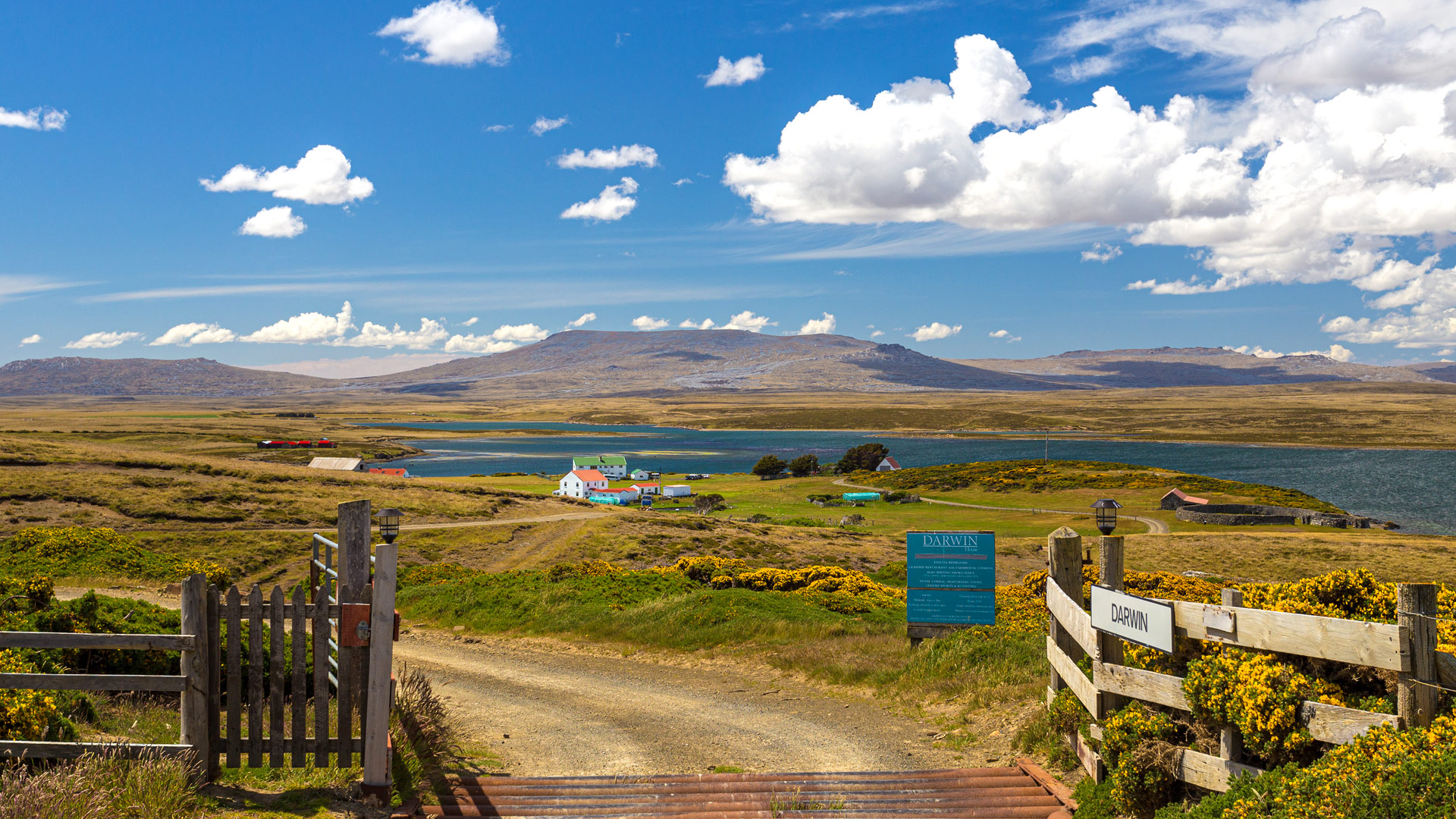 Safari to the Falklands