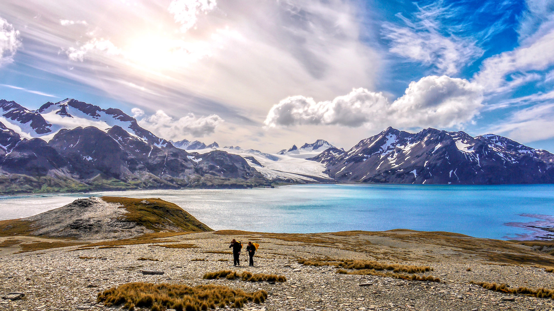 Safari to South Georgia