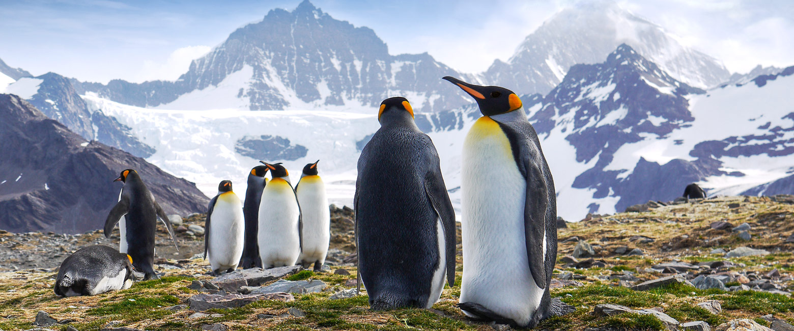 is a group of volcanic islands in the South Atlantic
