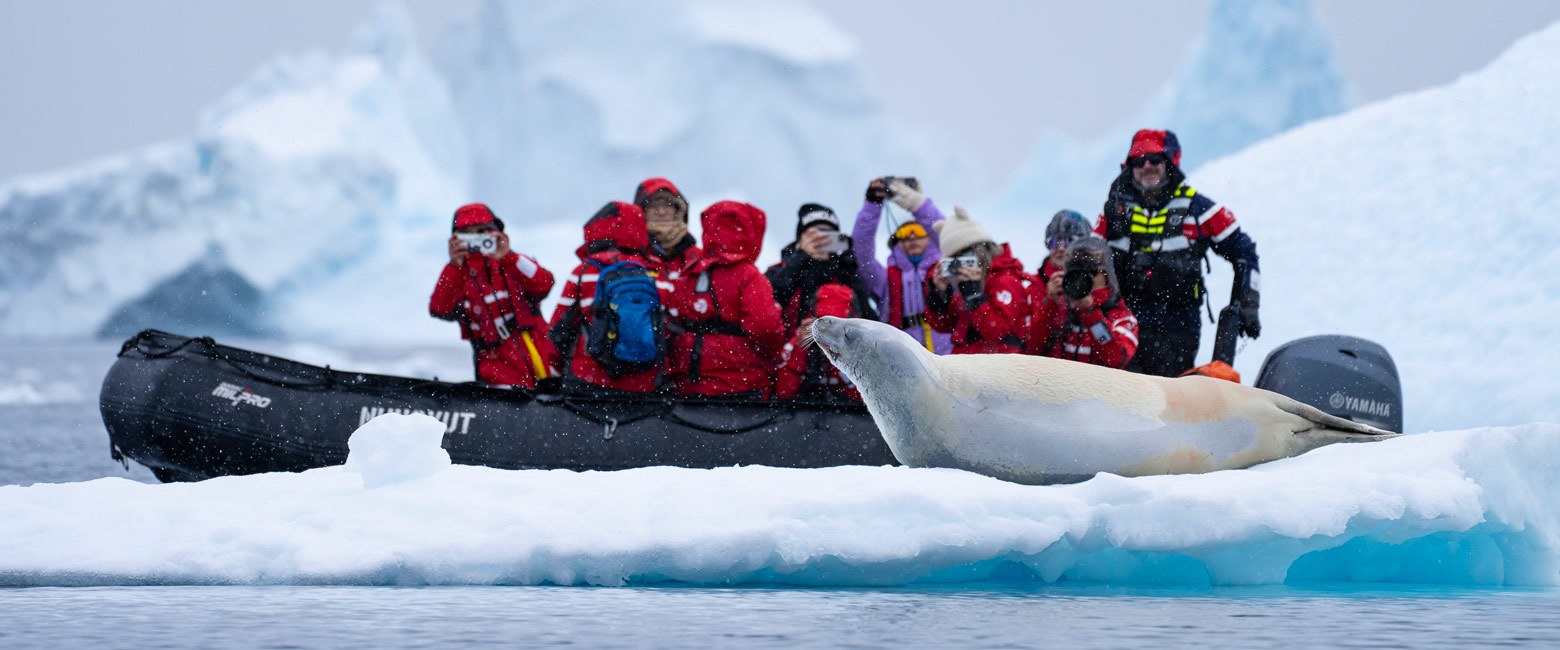 is a thirteen night expedition to the Antarctic Peninsula and beyond 