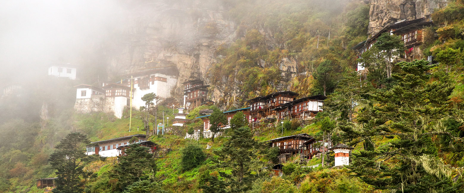 let us know your thoughts about Bhutan and we will help you create the perfect safari