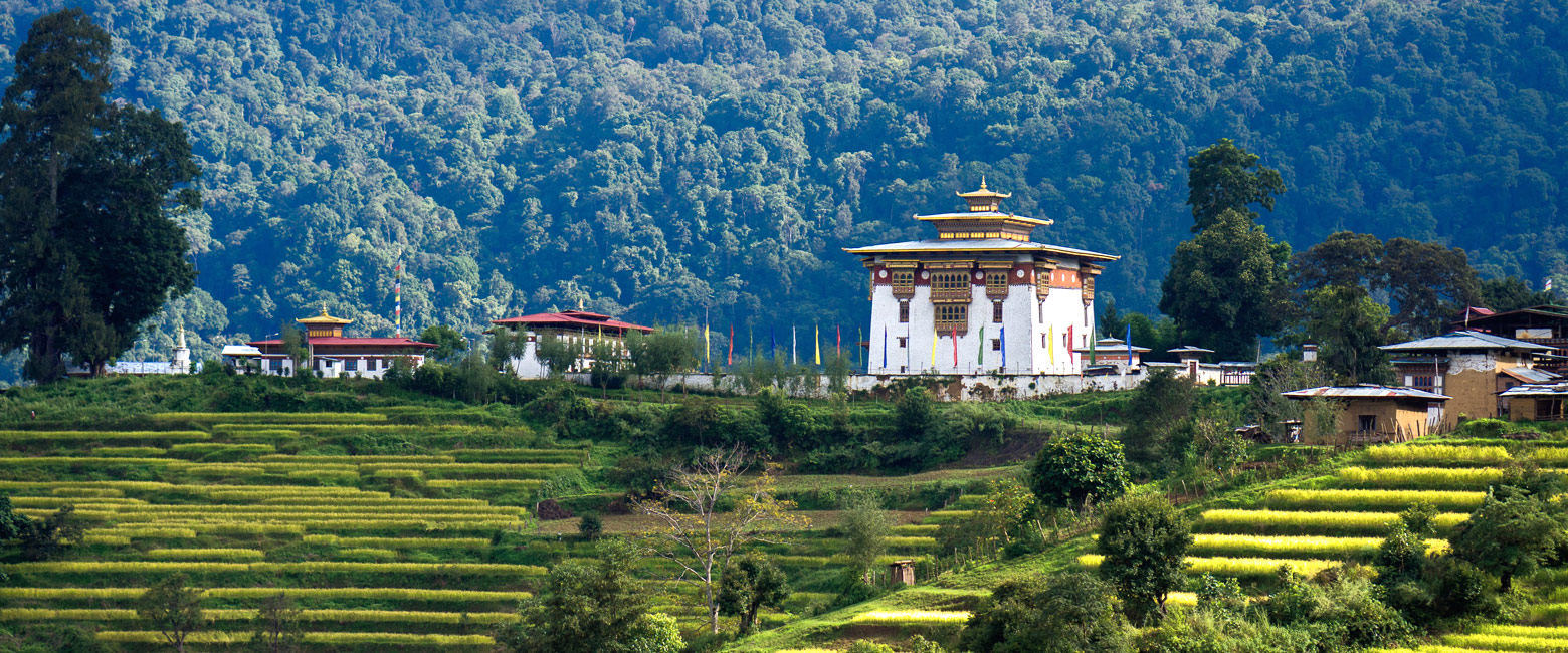 let us know your thoughts about Bhutan and we will help you create the perfect safari