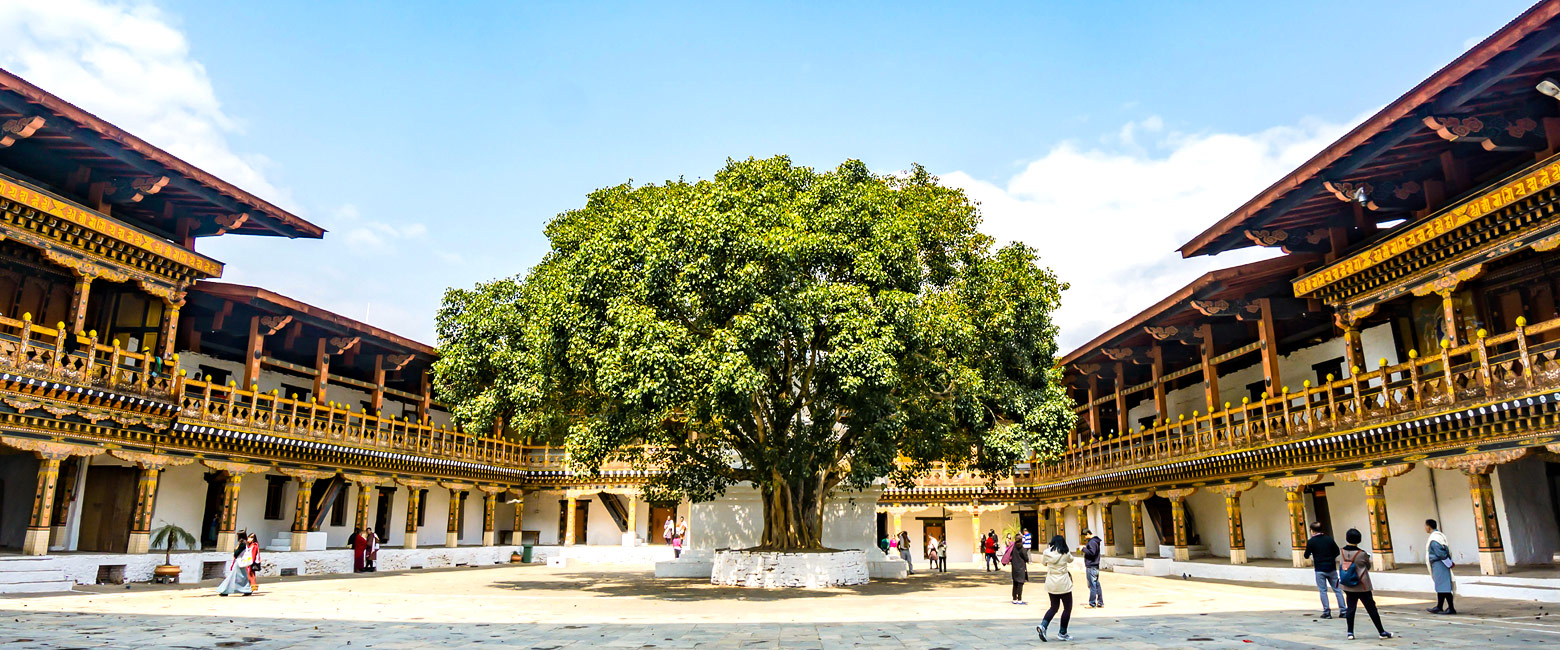 let us know your thoughts about Bhutan and we will help you create the perfect safari