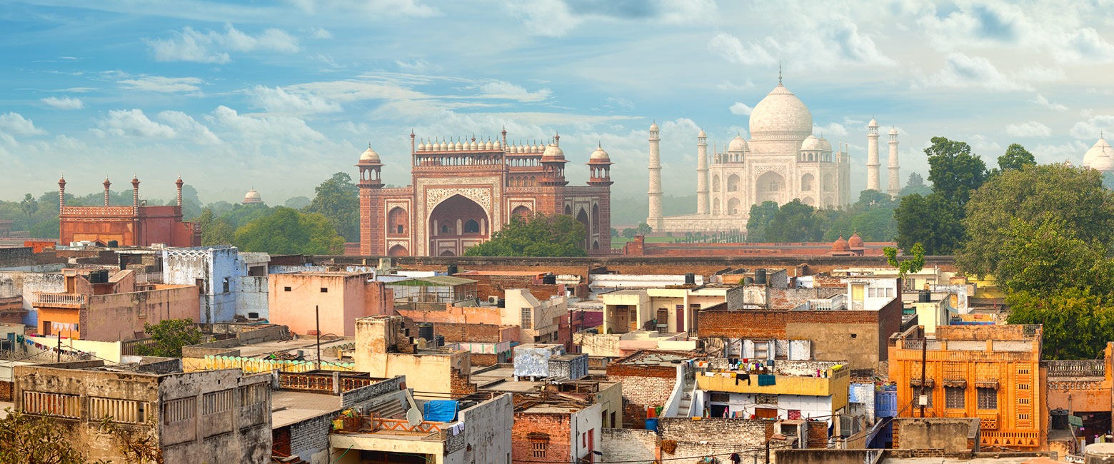 let us know your thoughts about India and we will help you createa the perfect safari