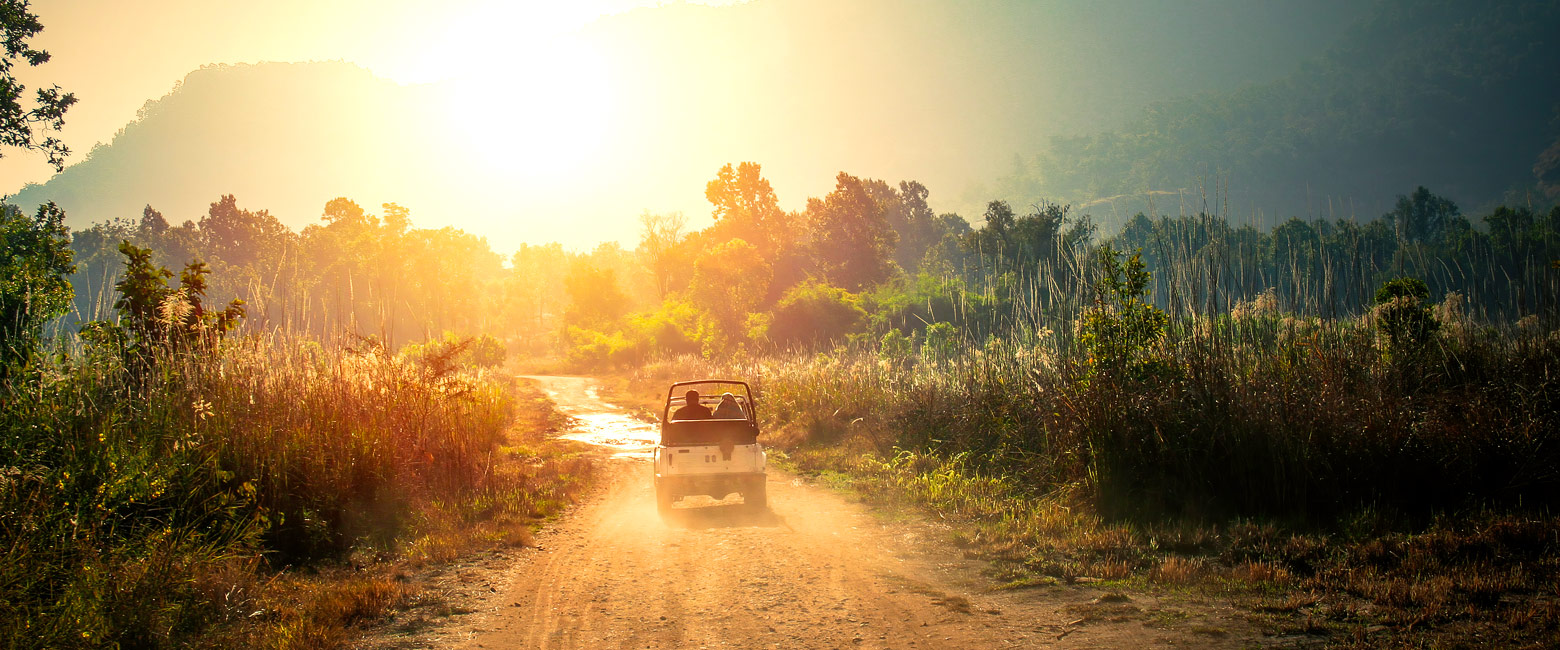 let us know your thoughts about India and we will help you create the perfect trip