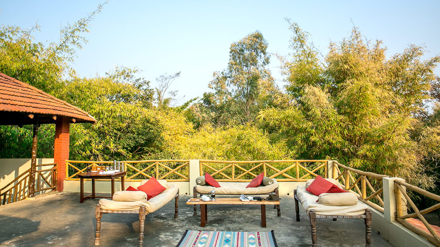 Bandhavgarh Jungle Lodge