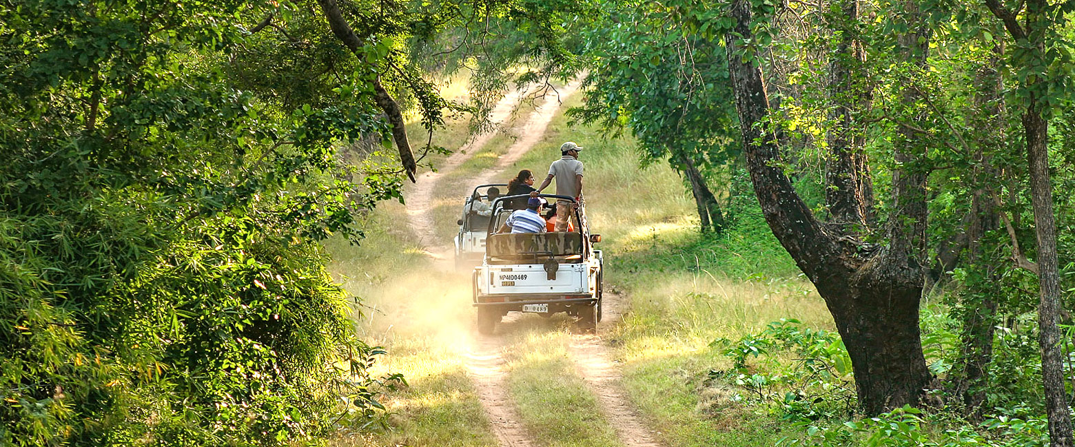 is a reliable property in the Bandhavgarh area 