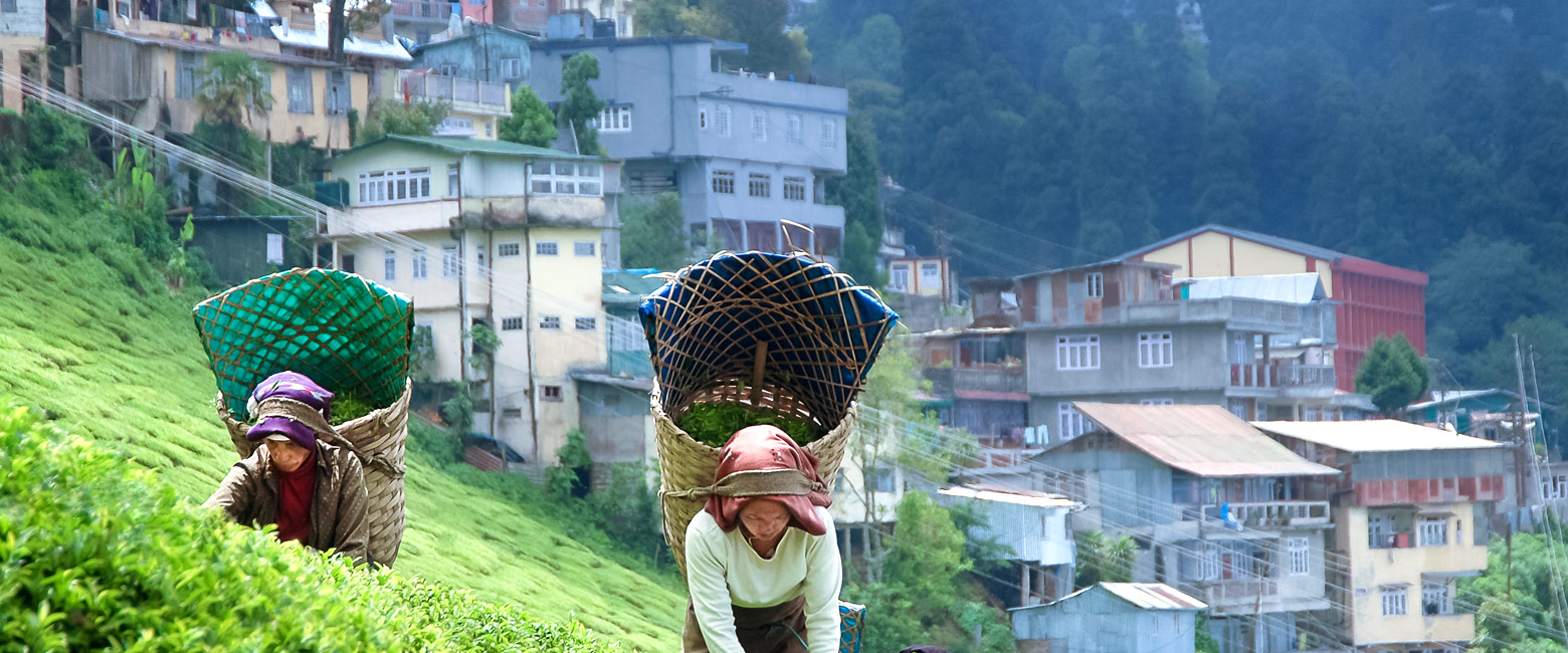 let us know your thoughts about India and we will help you create the perfect trip