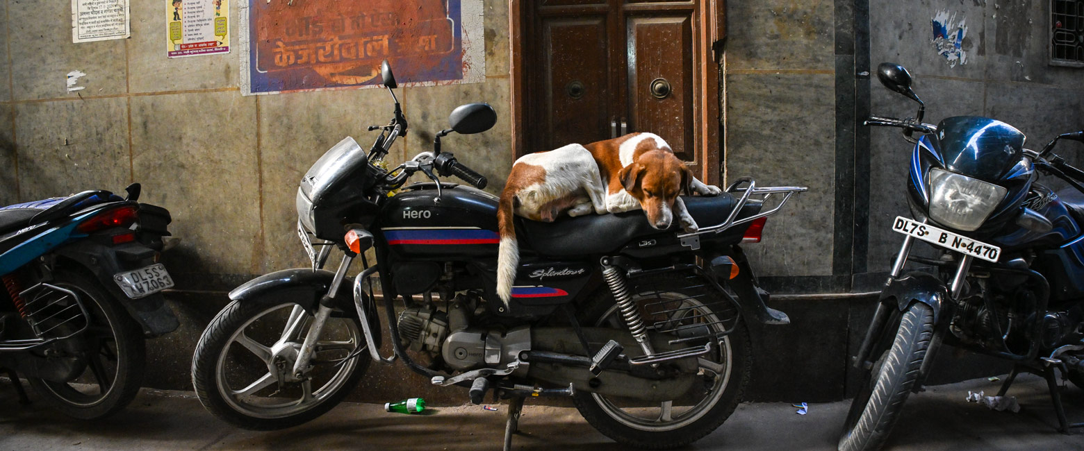 let us know your thoughts about India and we will help you create the perfect trip 