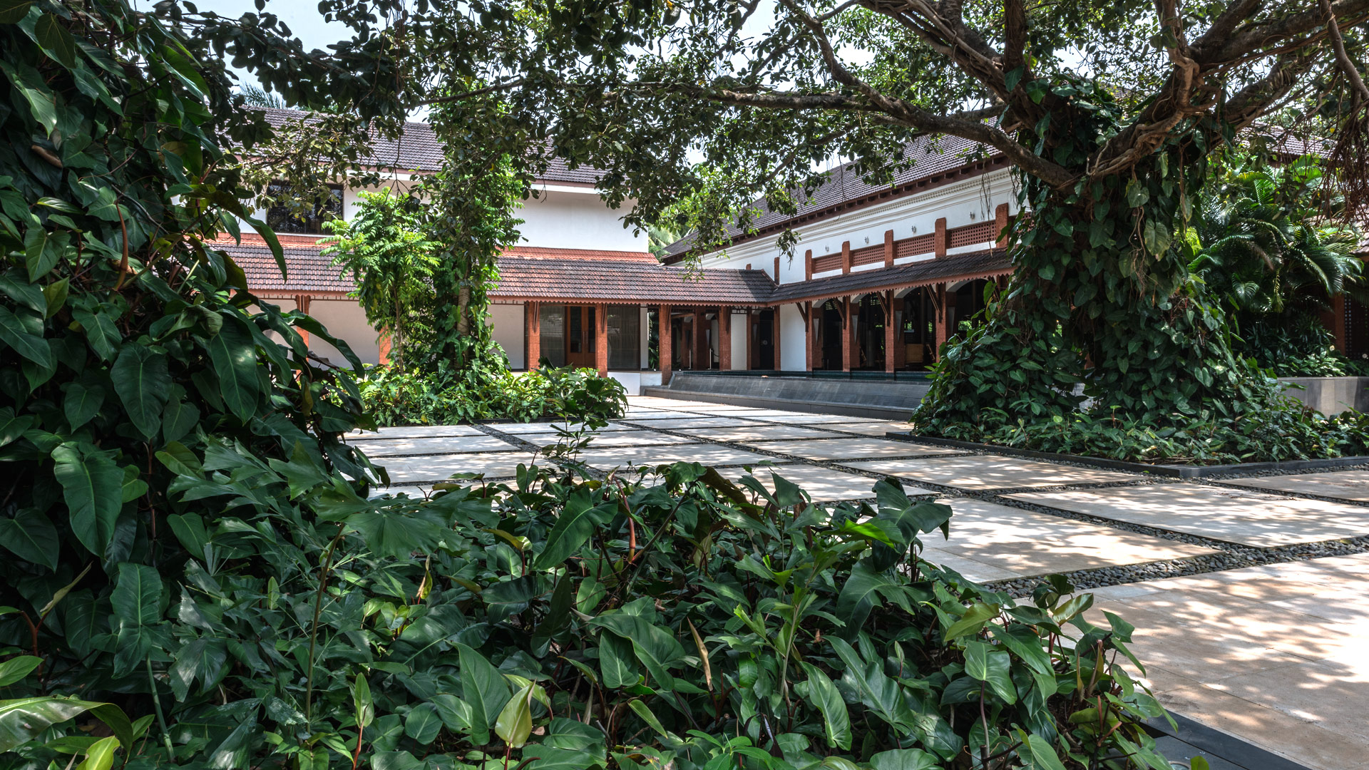 Alila Diwa