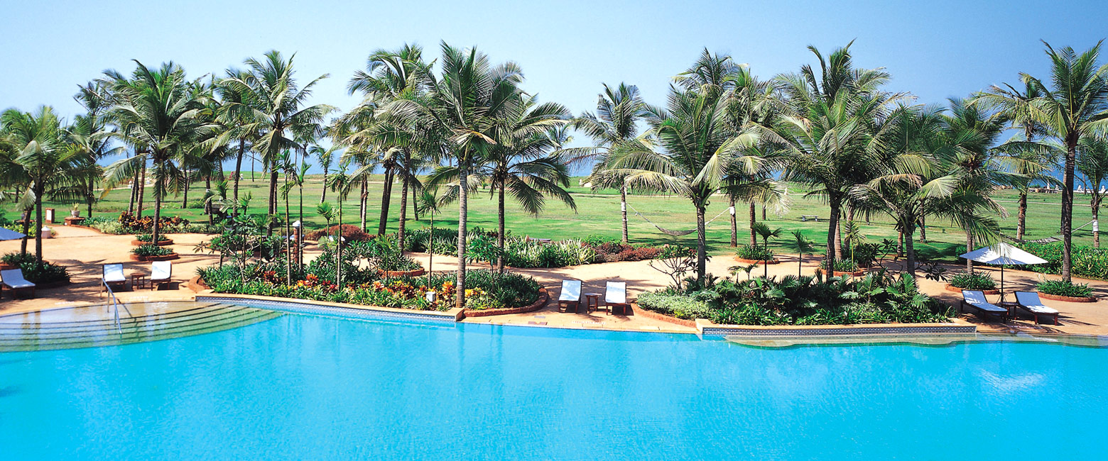 let us know your thoughts about India and we will help you create the perfect safari