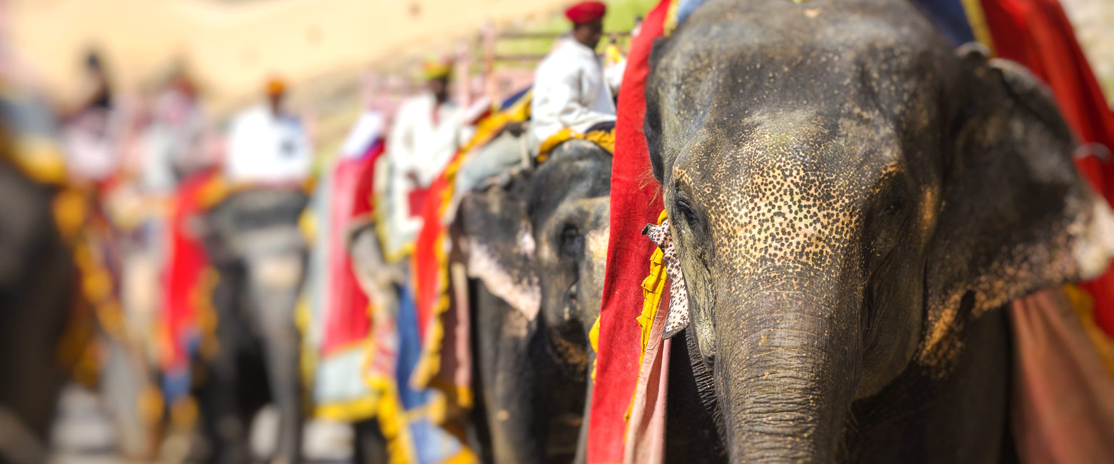 is a major historic city, the gateway to Rajasthan