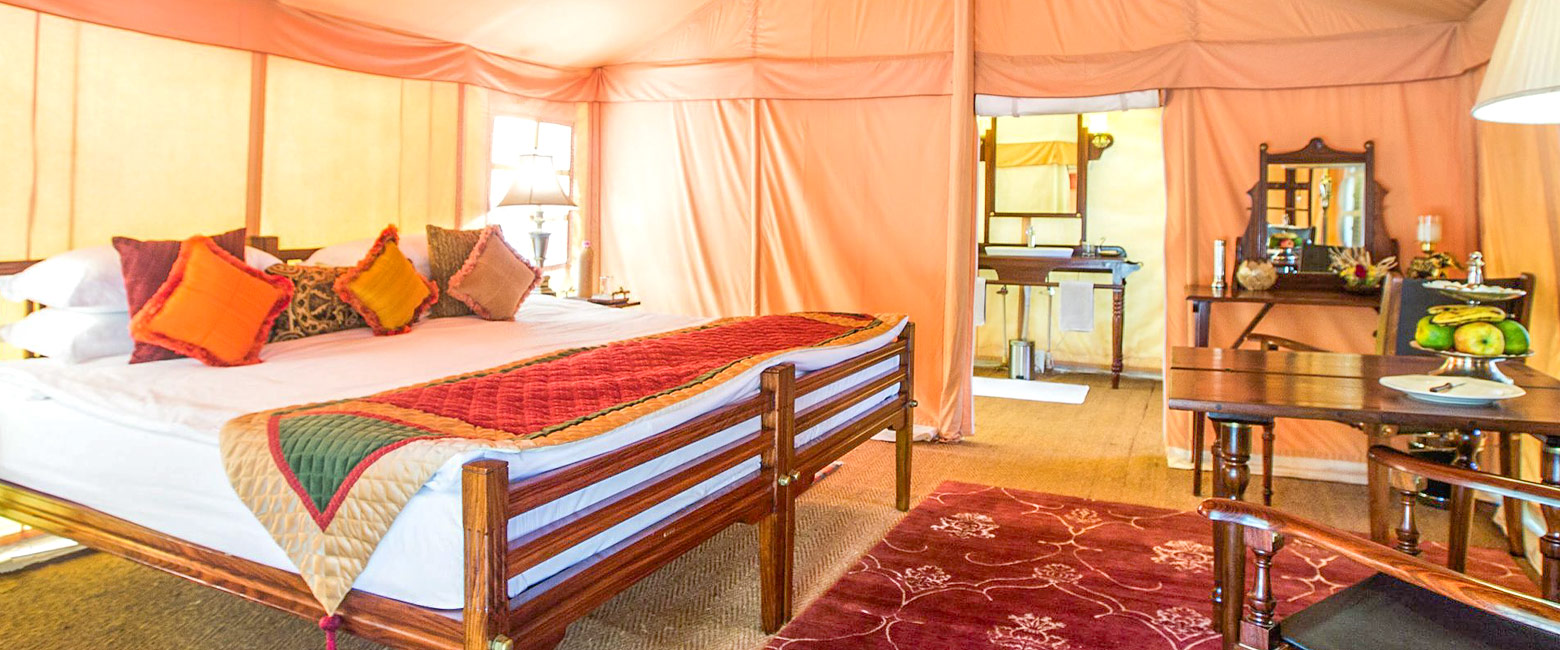 is an elephant-focused camp in the Jaipur area
