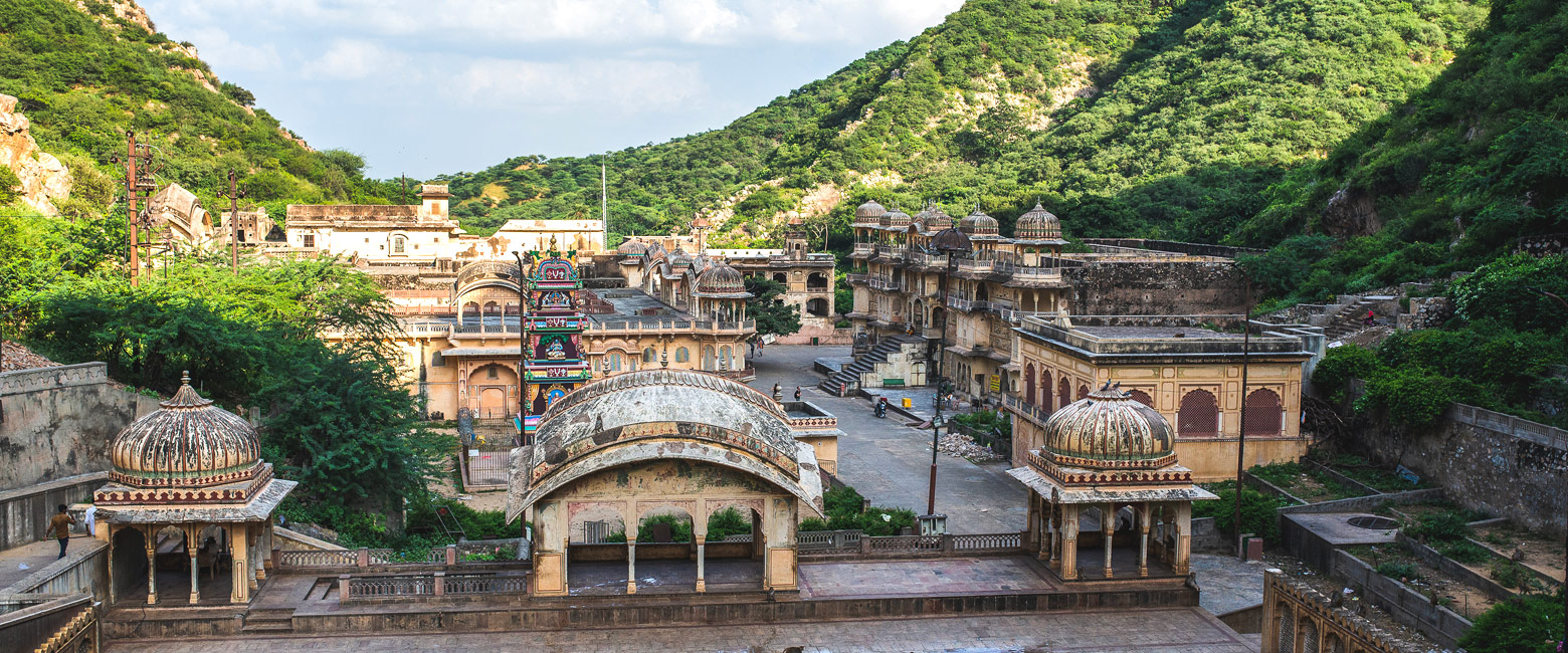 let us know your thoughts about India and we will help you create the perfect safari
