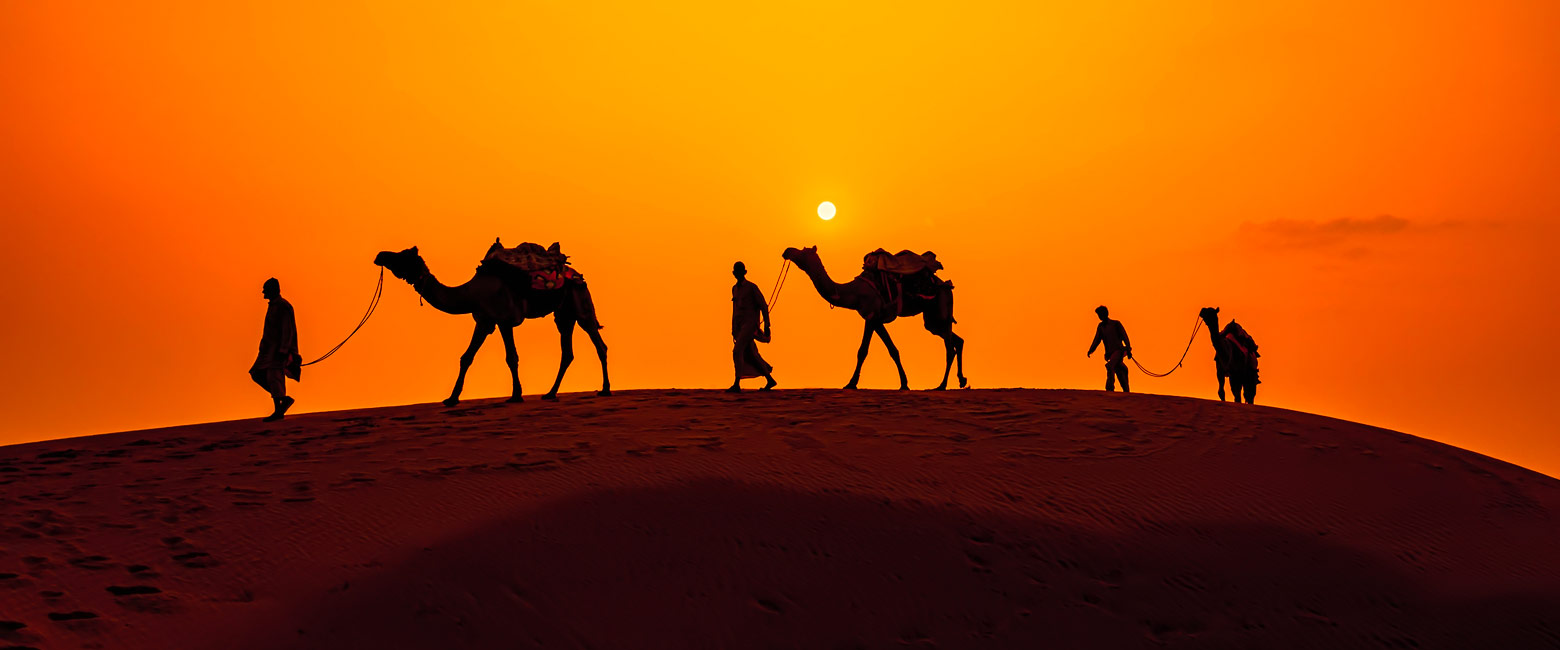 let us know your thoughts about India and we will help you create the perfect trip 