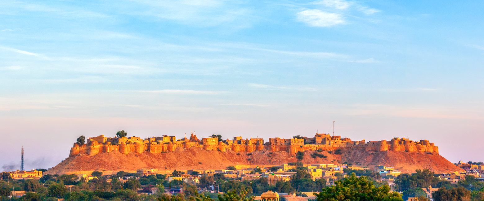 let us know your thoughts about India and we will make sure to deliver the perfect safari 