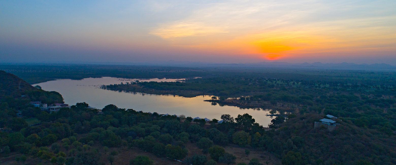 let us know your thoughts about India and we will help you create the perfect safari