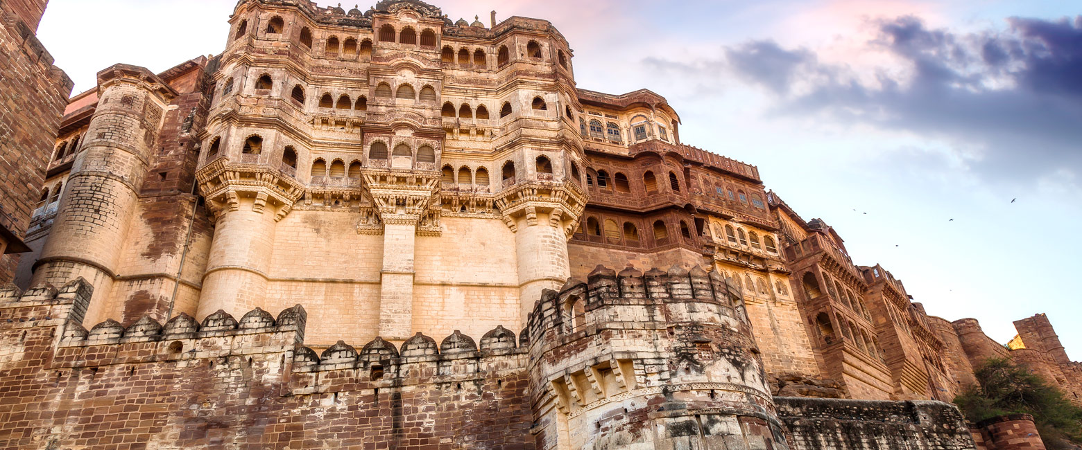 let us know your thoughts about India and we will help you create the perfect safari