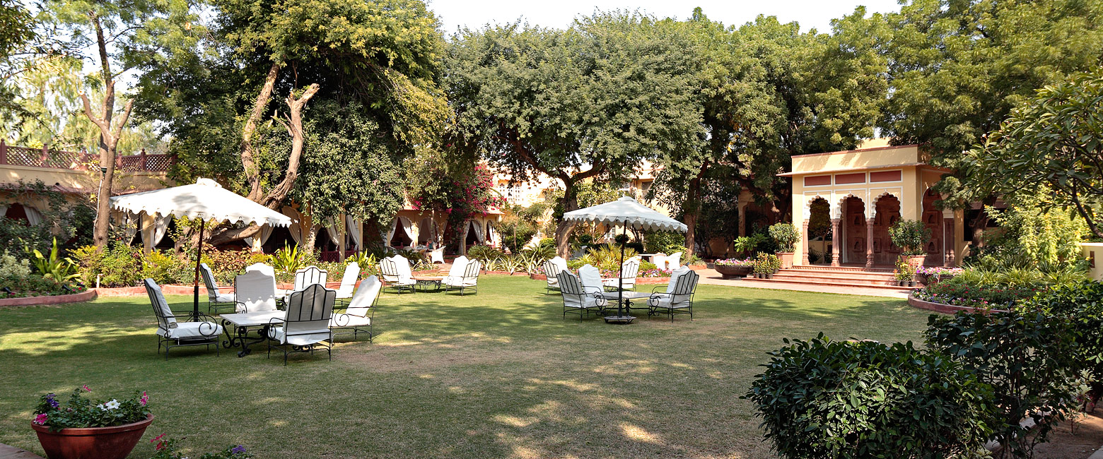 let us know your thoughts about India and we will help you create the perfect safari