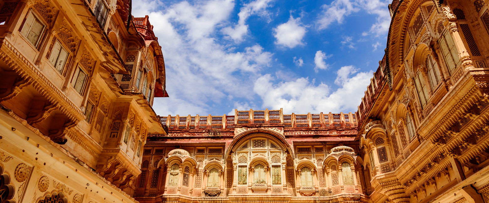 let us know your thoughts about India and we will help you create the perfect safari