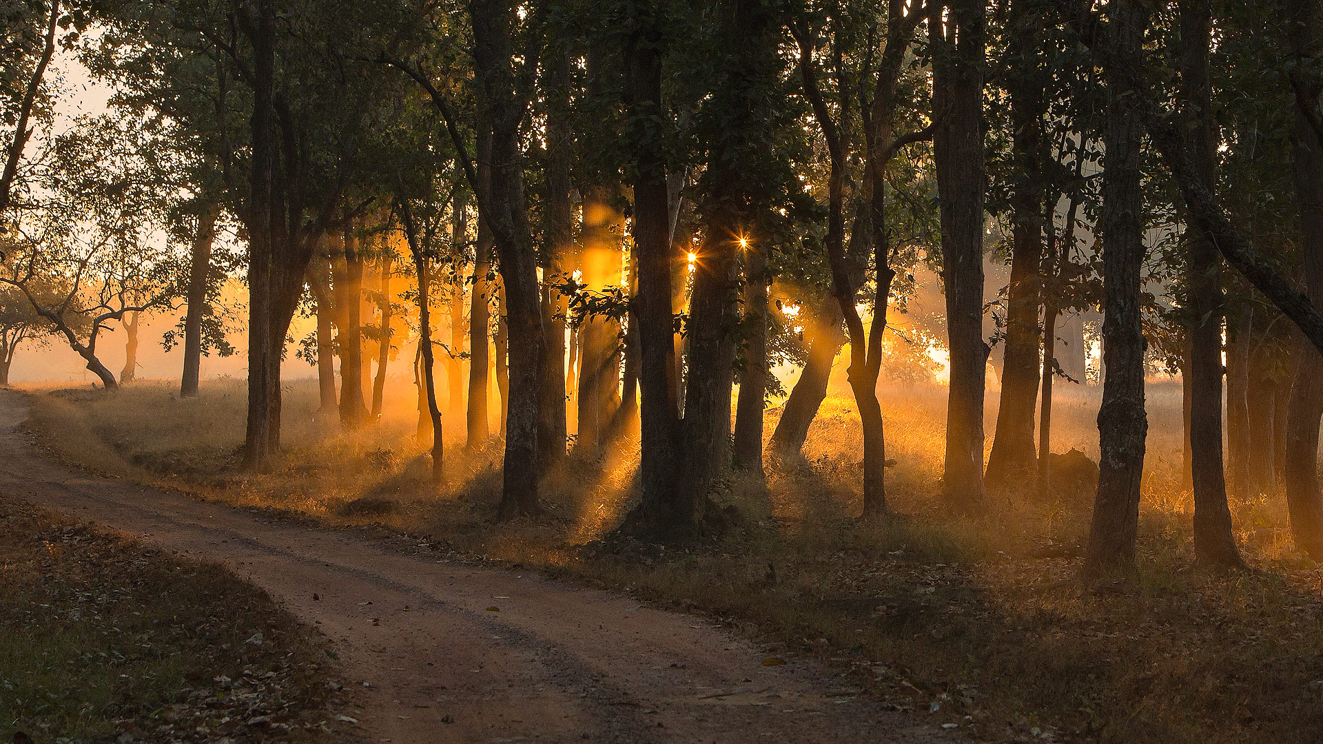 Shergarh Tented Camp