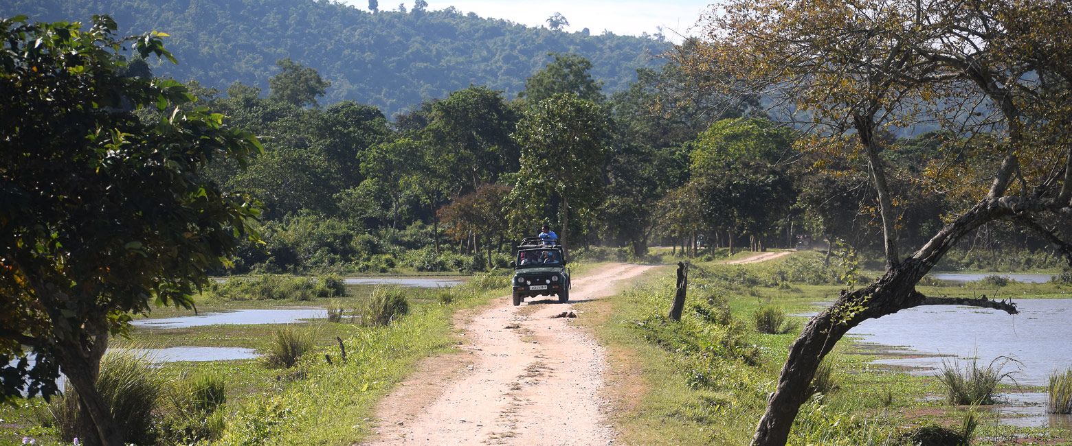 is a reserve in northeast India, renowned for tigers and rhinos
