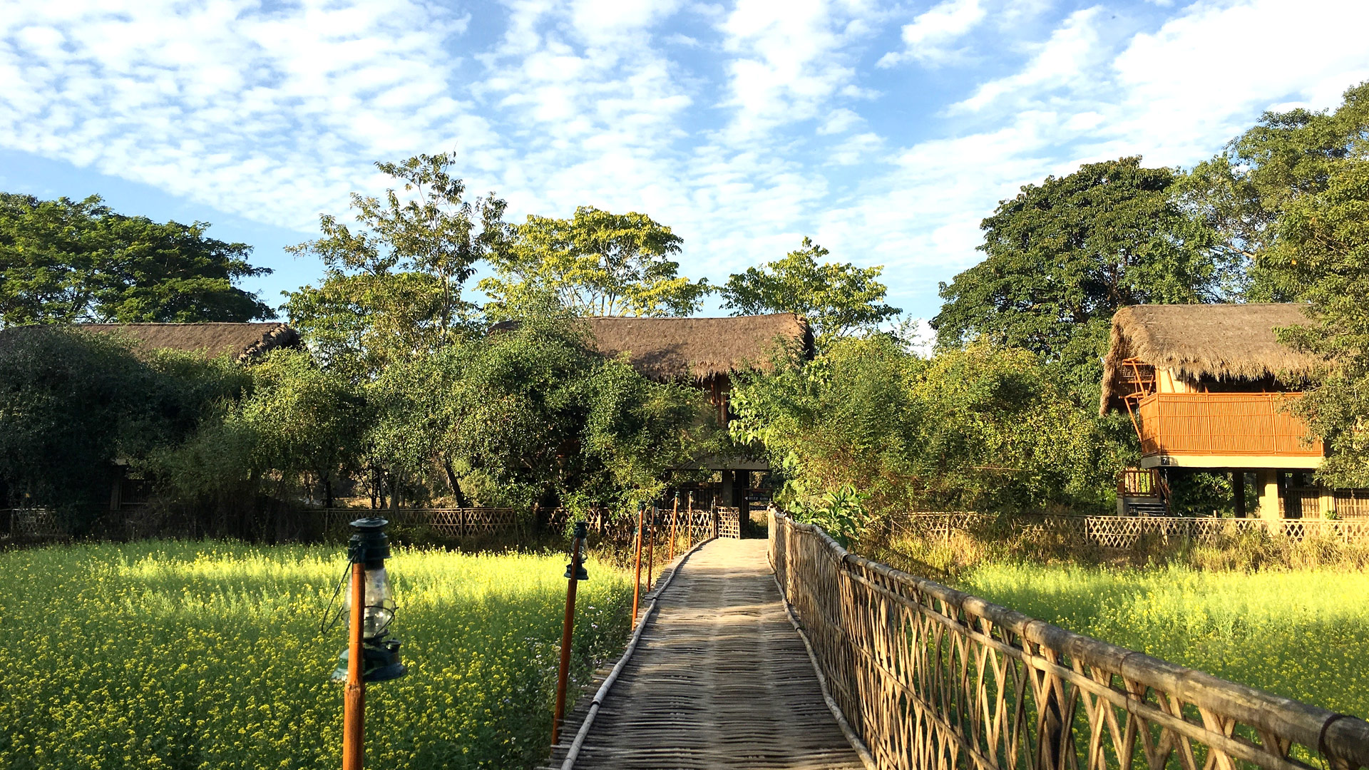 Diphlu River Lodge