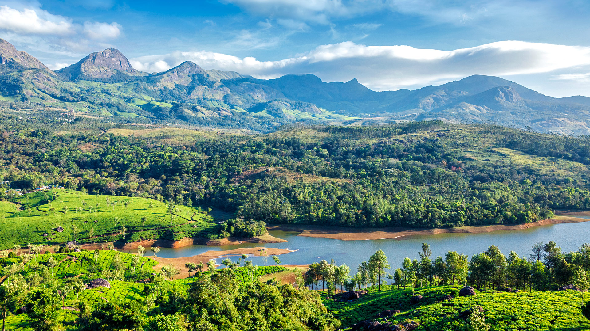 Travel to Kerala