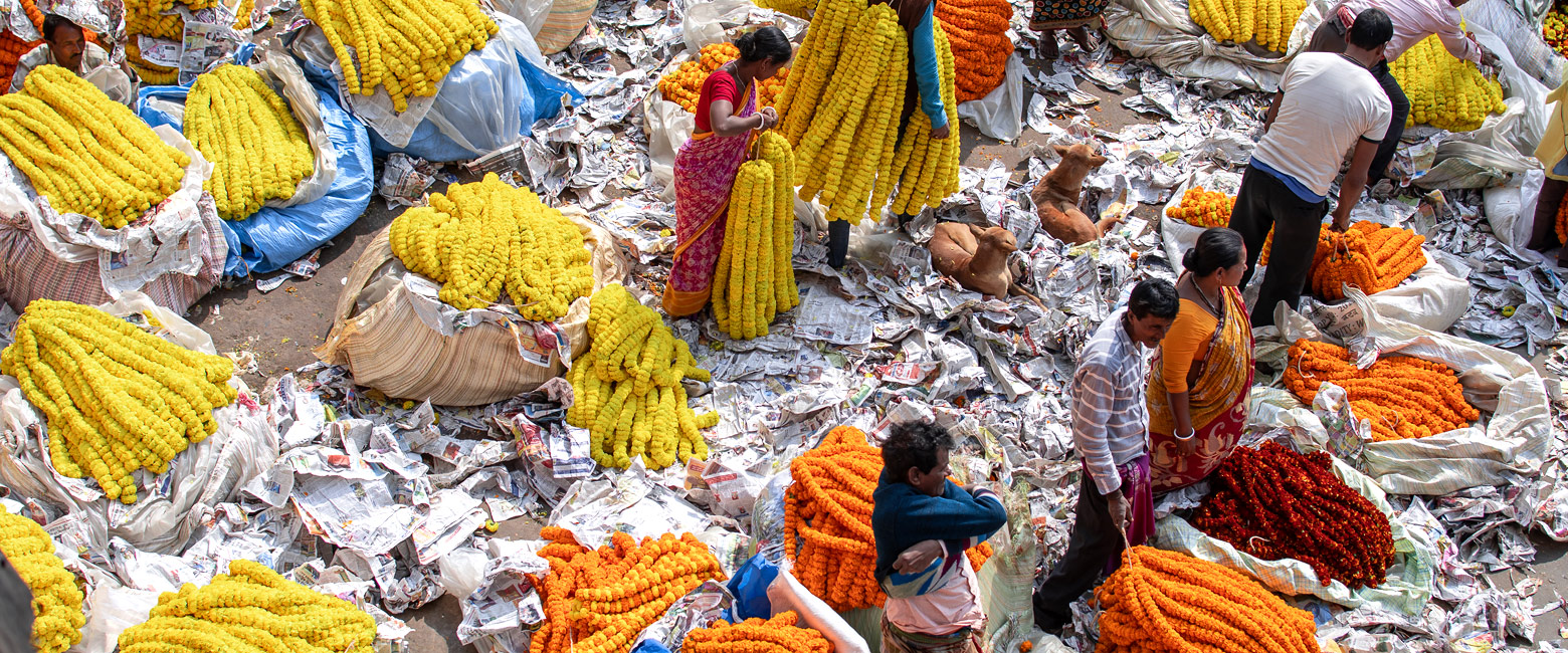 let us know your thoughts about India and we will help you create the perfect trip