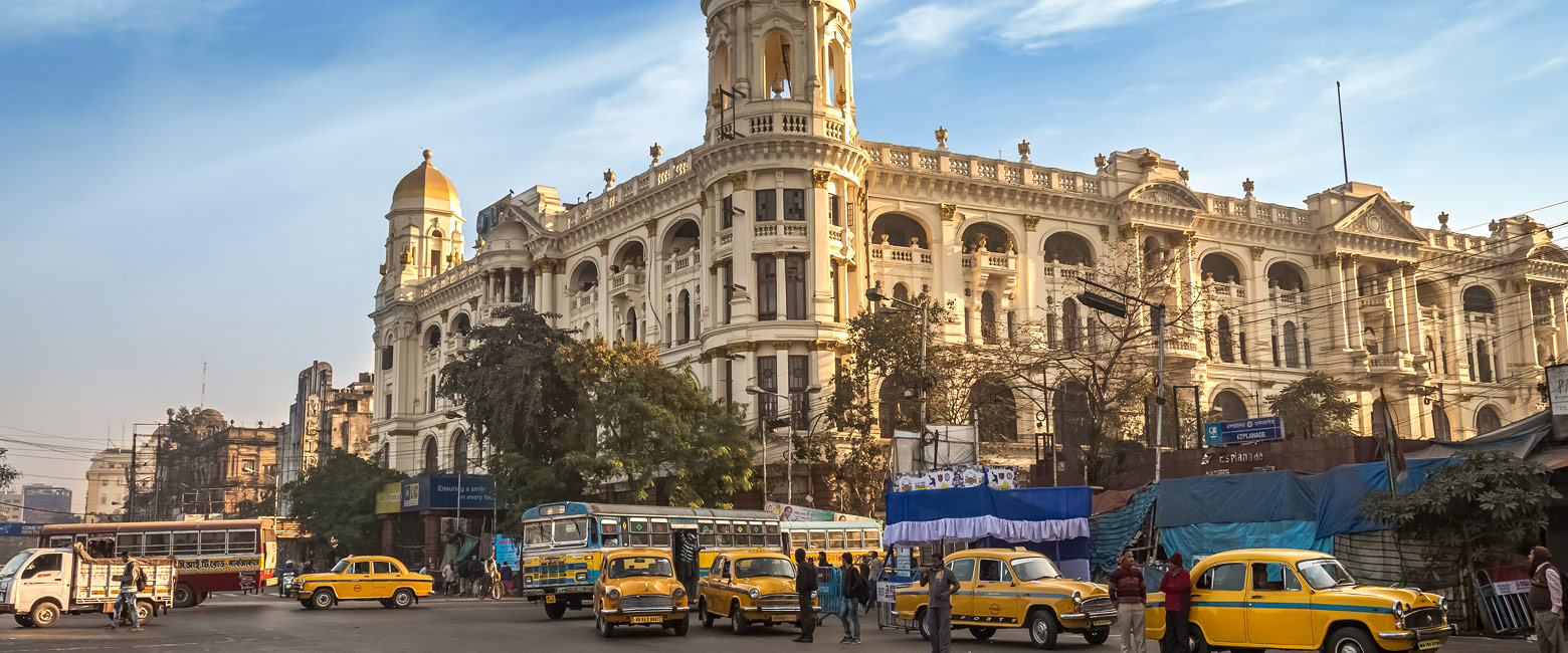 let us know your thoughts about India and we will help you create the perfect safari 