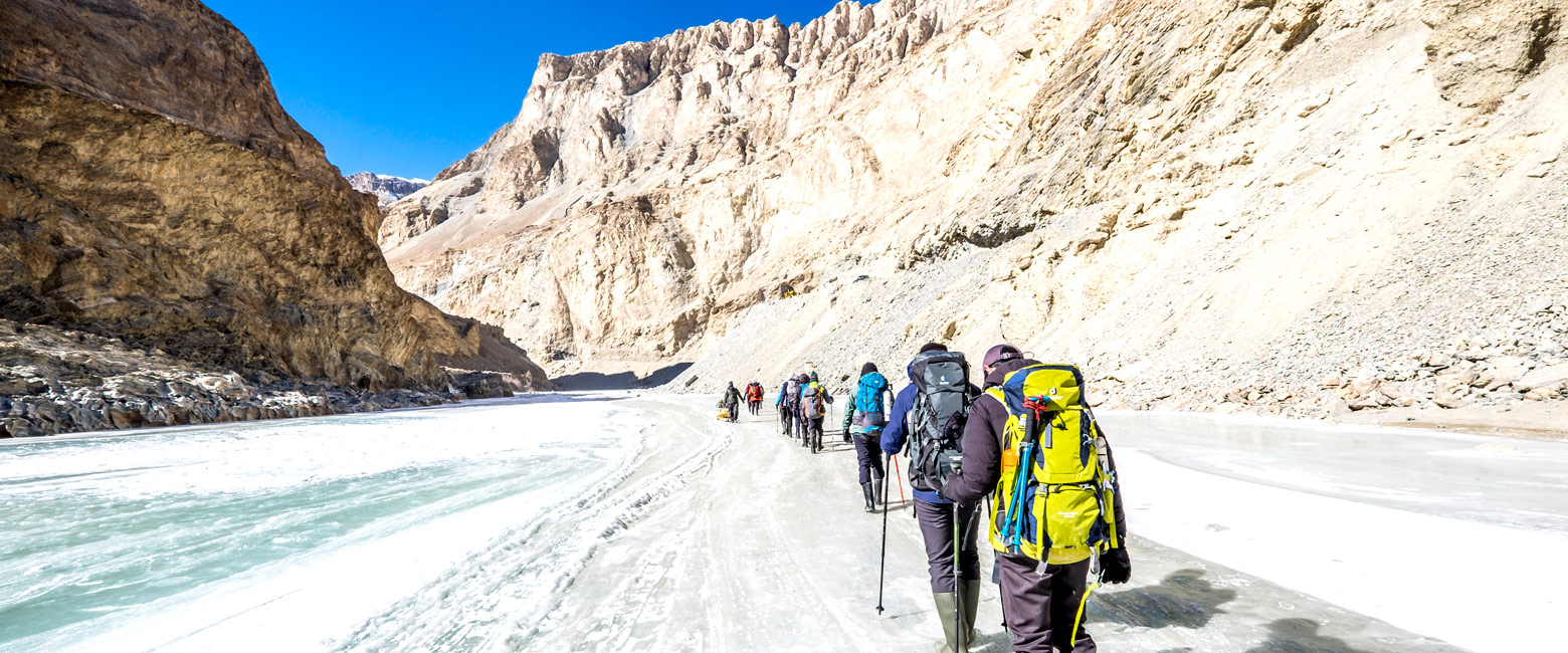 let us know your thoughts about India and we will help you create the perfect safari