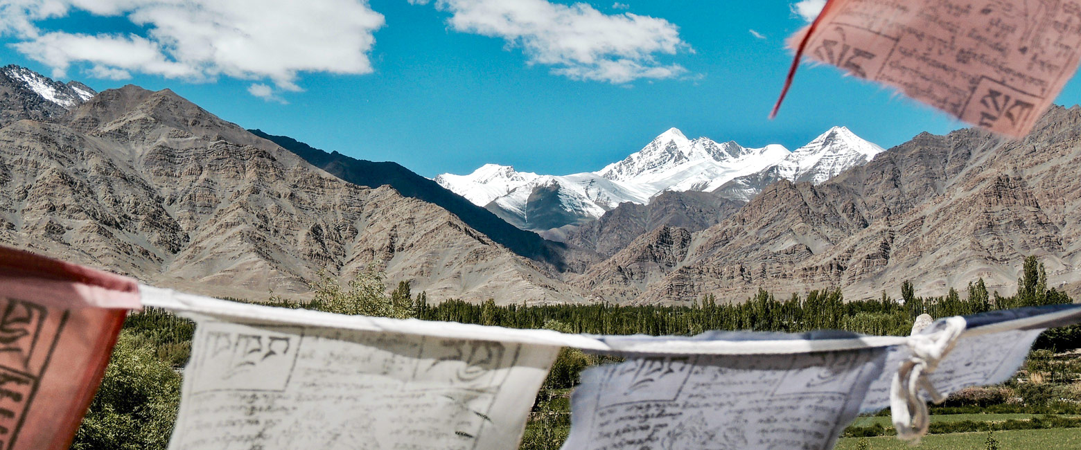 let us know your thoughts about India and we will help you create the perfect safari